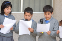 /album/fotogaleria/a3-png/